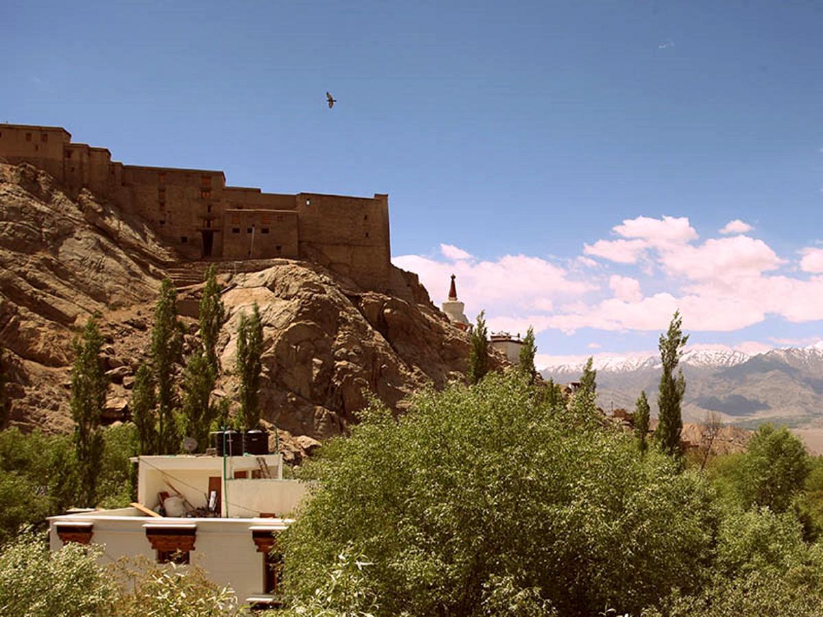 The Hotel Himalaya, Leh Exteriör bild